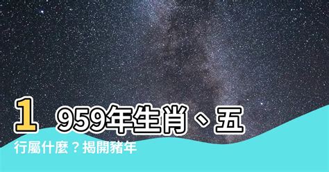 豬的五行|生肖豬五行屬什麼，運勢如何？